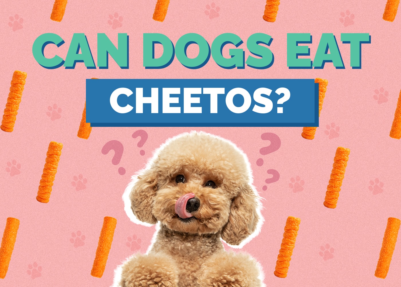 Can Dogs Eat Cheetos? Are Cheetos Safe for Dogs? Vet-Reviewed Facts & FAQ