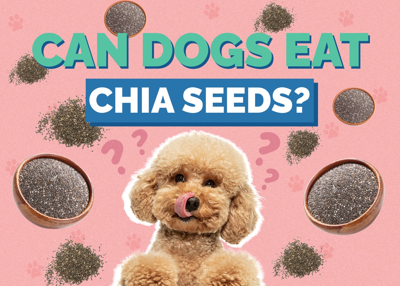 Can Dogs Eat Chia Seeds? Vet-Approved Nutrition Facts & Safety Guide