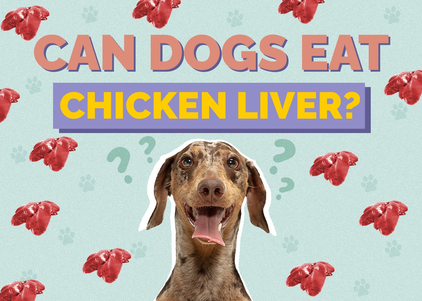 Can Dogs Eat Chicken Liver? Vet-Reviewed Facts & FAQ