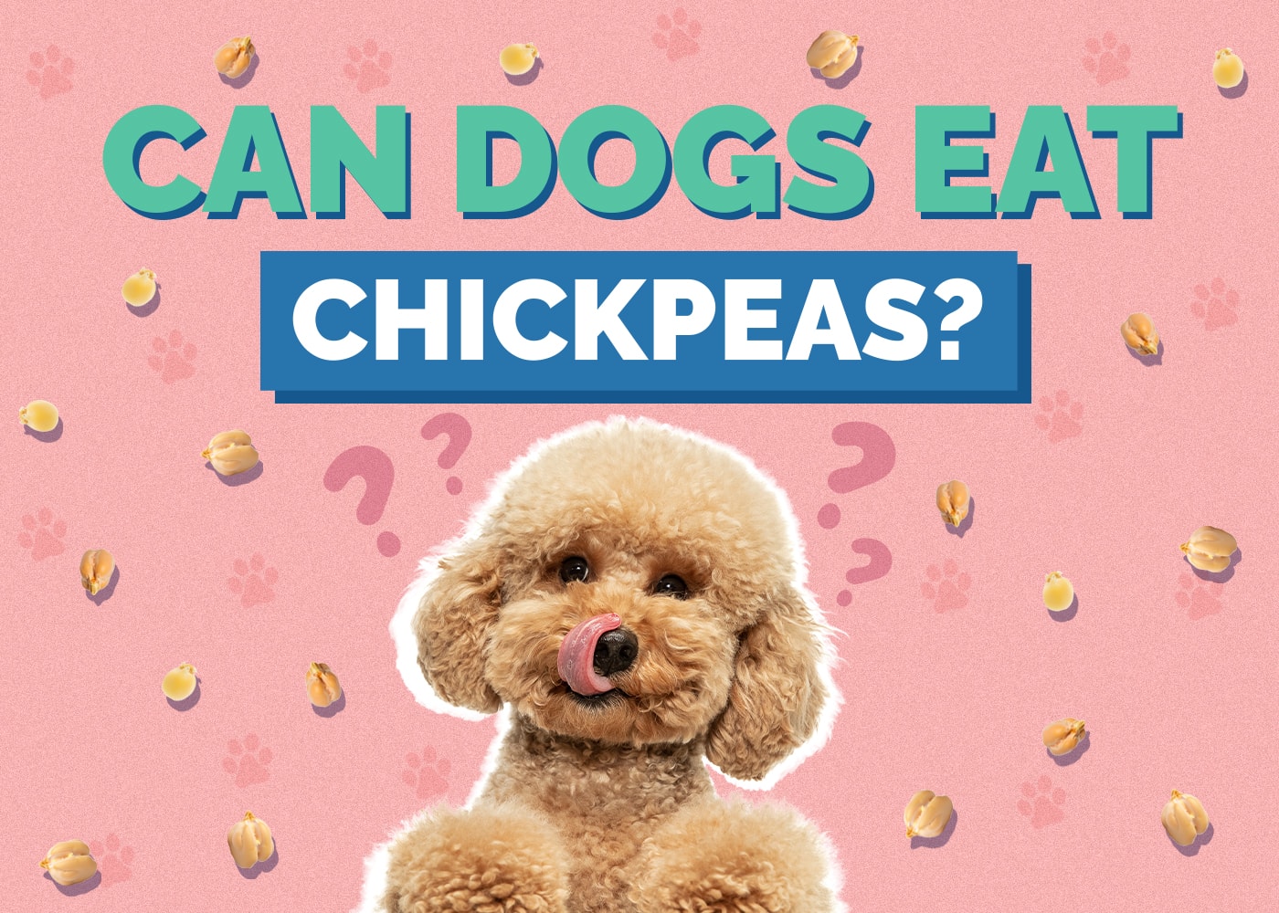 Can Dogs Eat Chickpeas? Vet-Reviewed Info on Garbanzo Beans, Hummus & More
