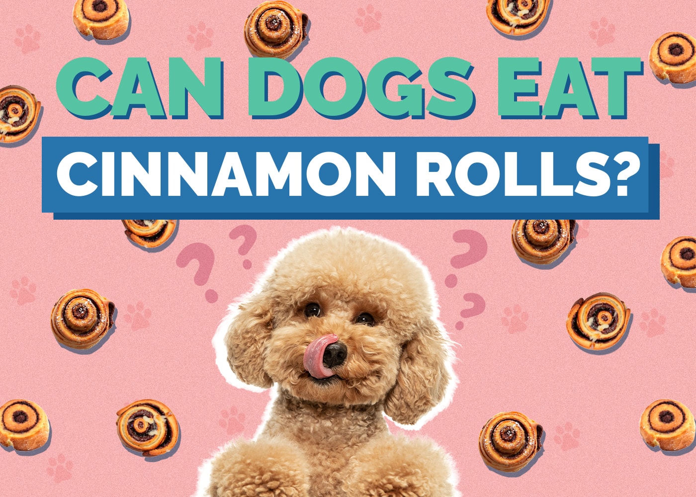 Can Dogs Eat Cinnamon Rolls? Vet Verified Risks & Alternatives