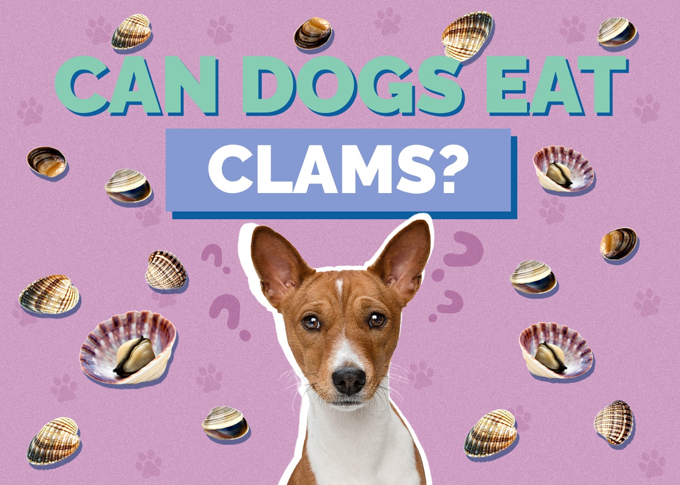 Can Dogs Eat Clams? Facts & Safety Guide (Vet Answer)