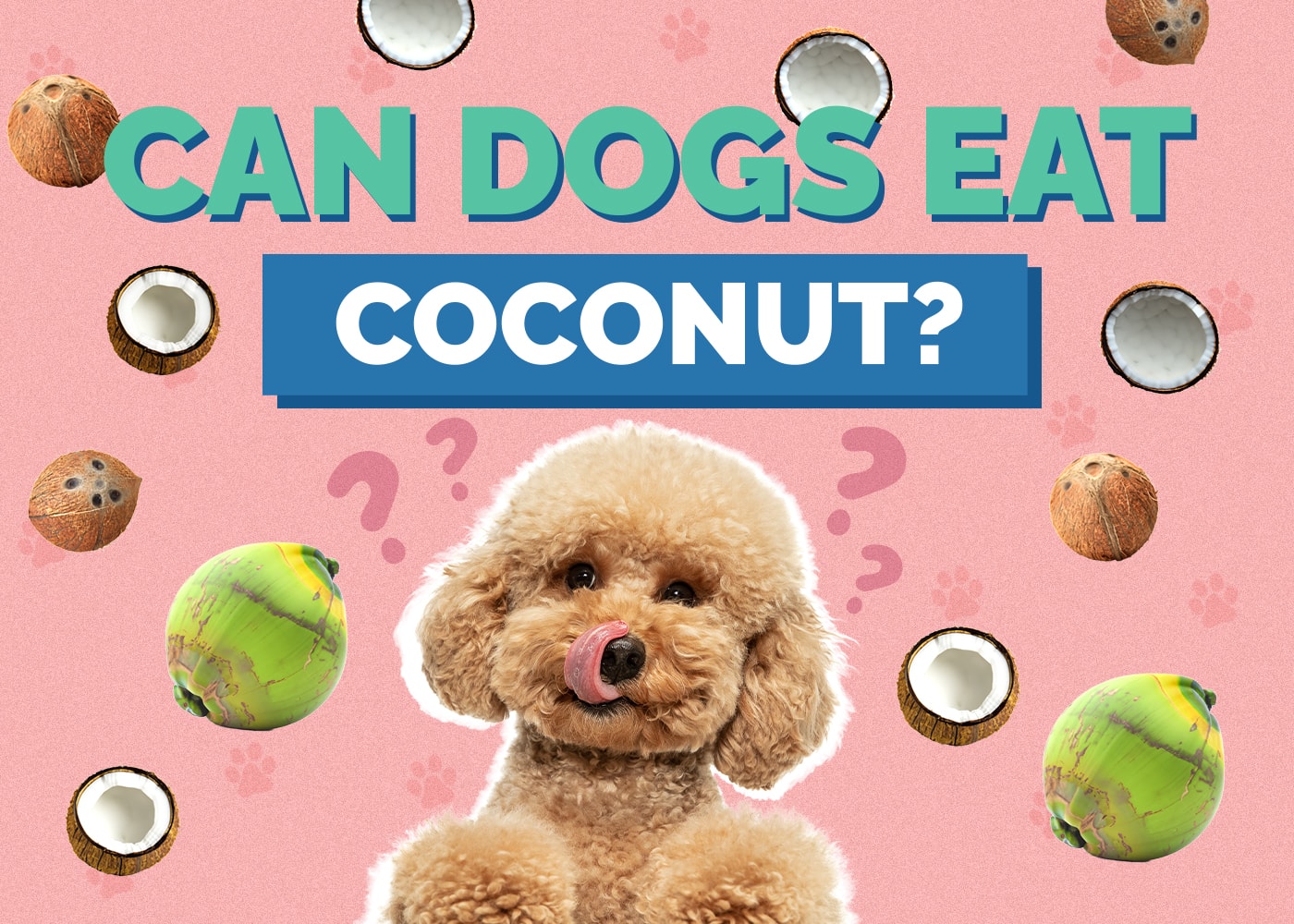 Can Dogs Eat Coconut? Health & Nutrition Facts
