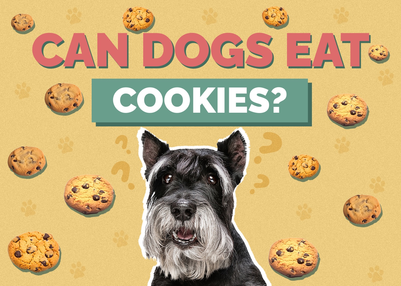 Can Dogs Eat Cookies? Vet-Approved Nutrition Facts & Info
