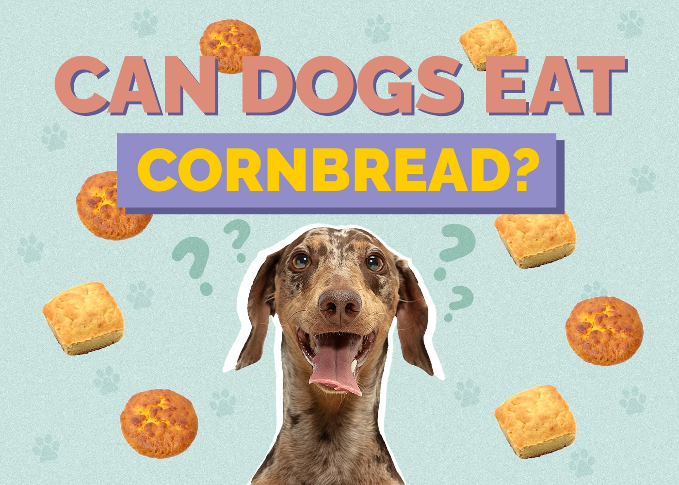 Can Dogs Eat Cornbread? Vet-Reviewed Nutrition Facts & Safety