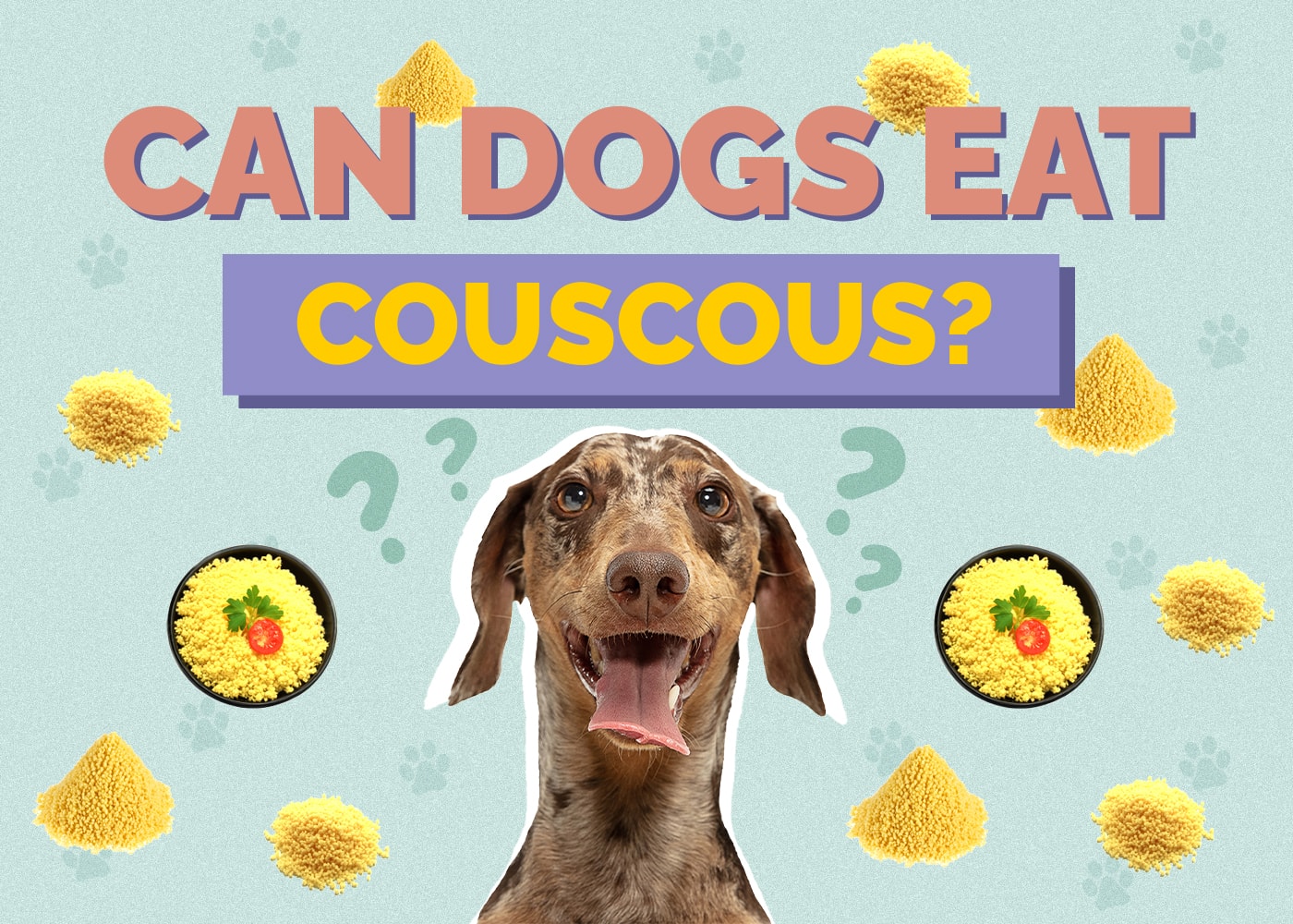Can Dogs Eat Couscous? Vet-Approved Facts & FAQ