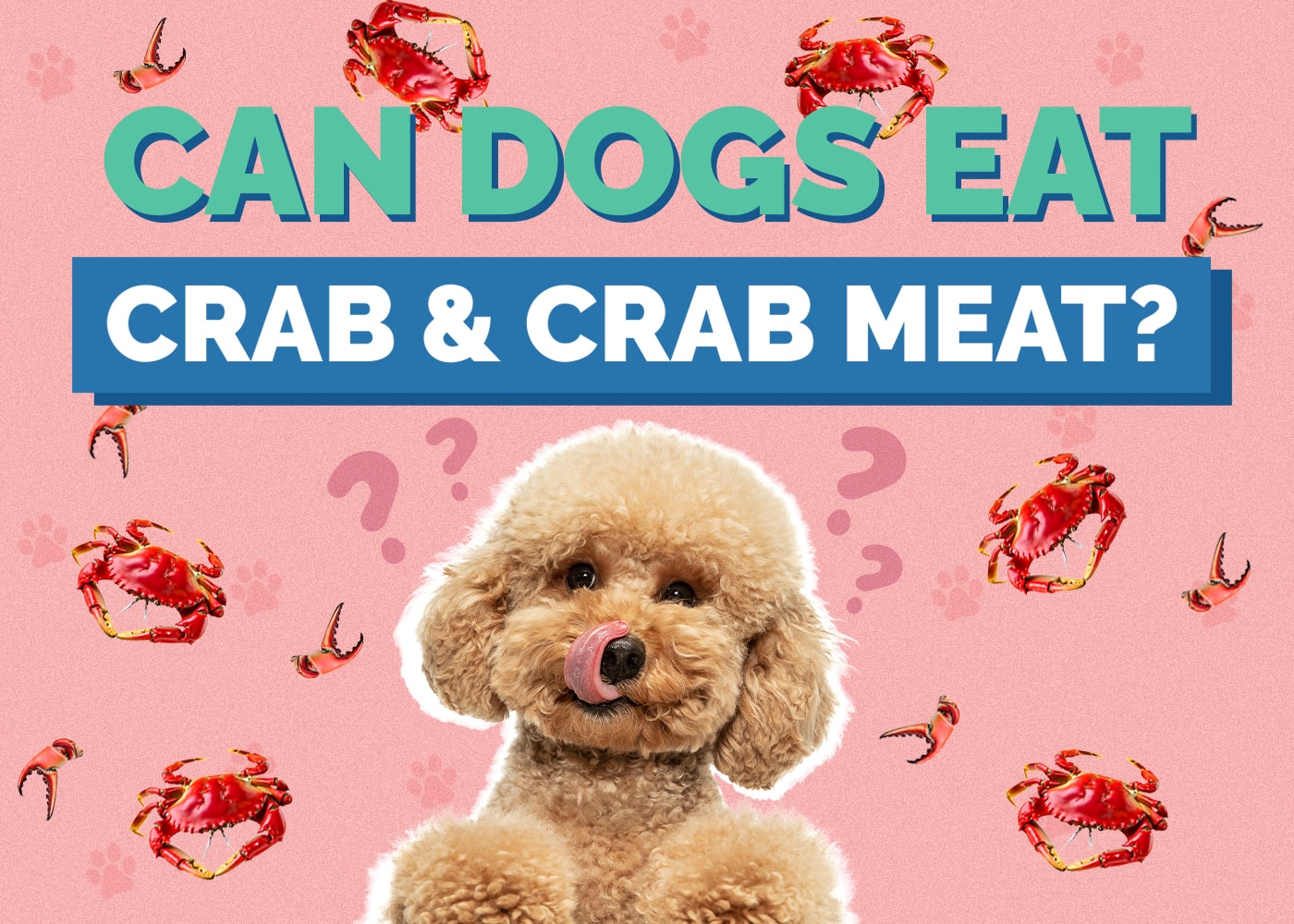 Can Dogs Eat Crab & Crab Meat? Vet-Reviewed Facts and FAQ