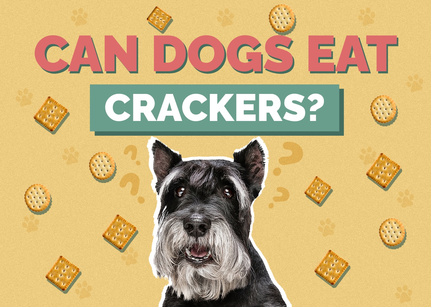 Can Dogs Eat Crackers? Vet-Reviewed Nutrition Facts & FAQ