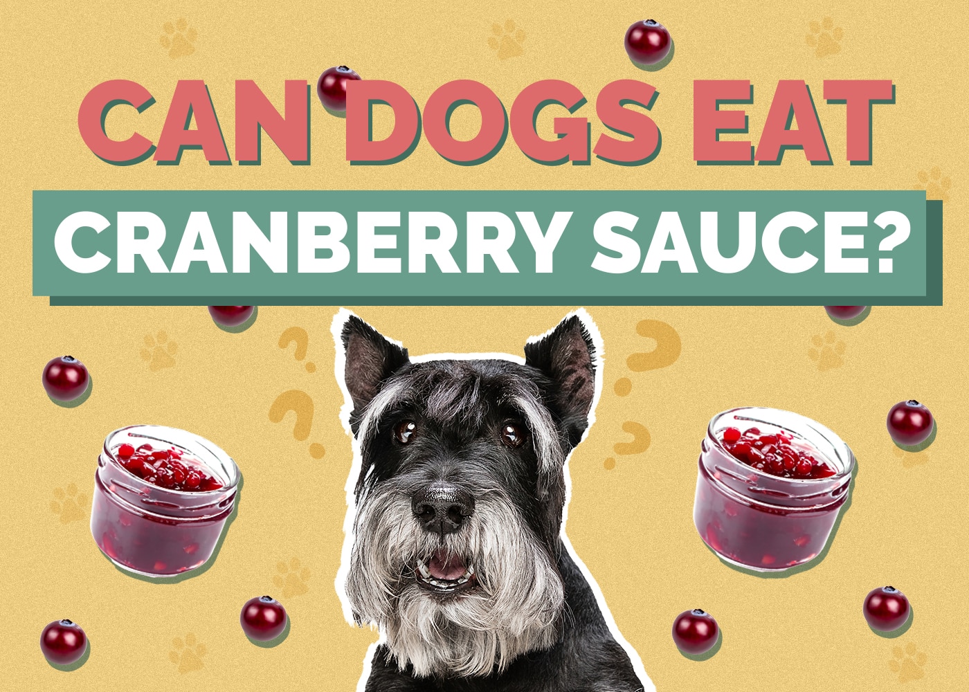 Can Dogs Eat Cranberry Sauce? Vet Approved Nutrition Facts & Safety Guide