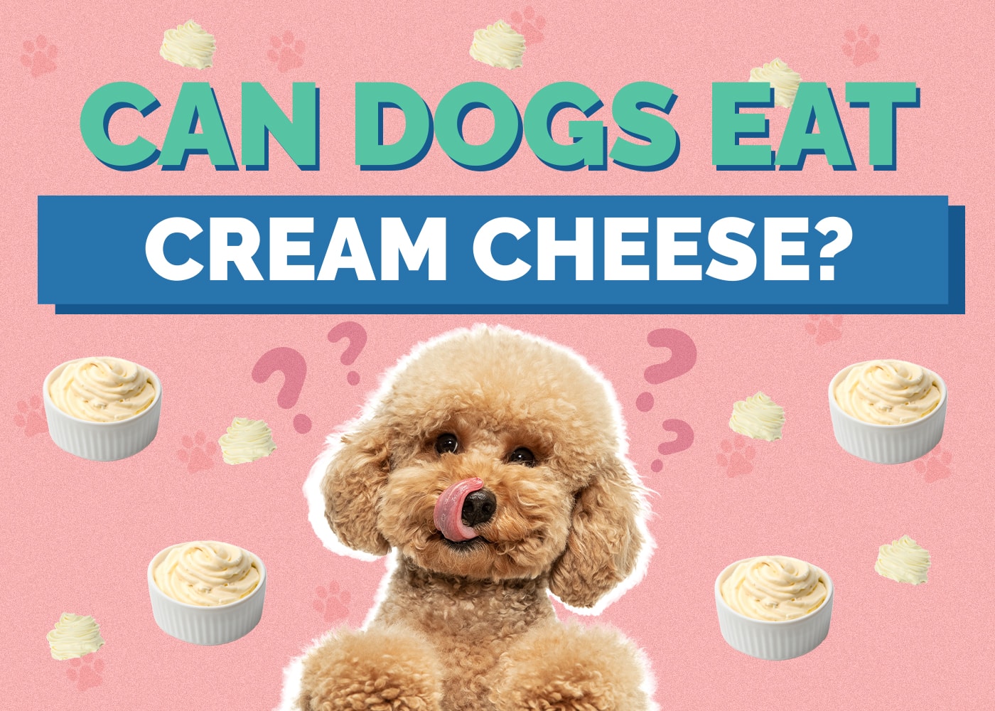 Can Dogs Eat Cream Cheese? Vet-Verified Nutrition Facts & Info