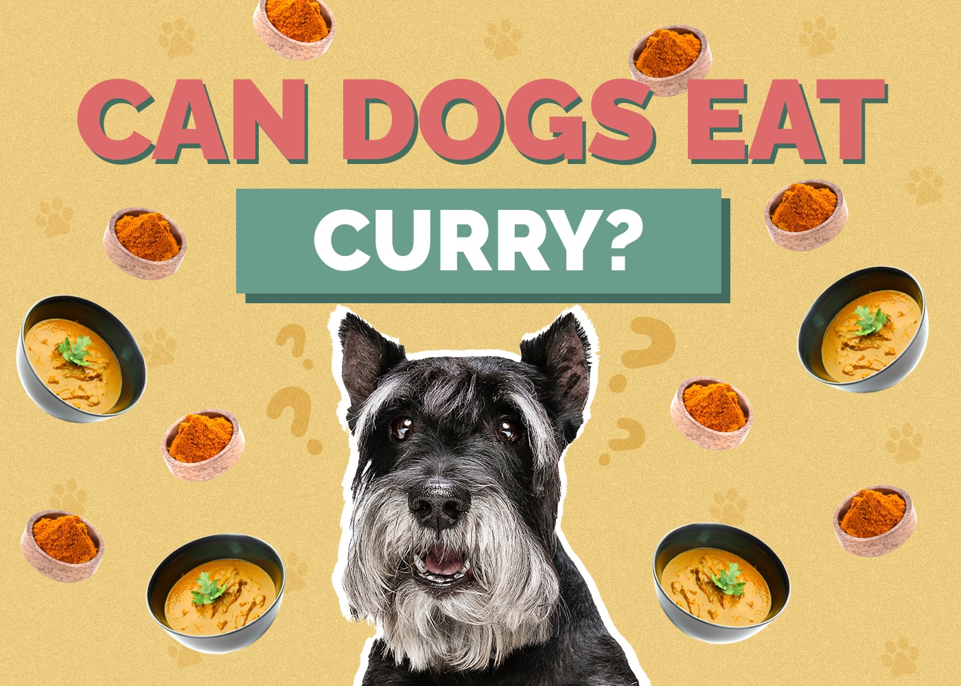 Can Dogs Eat Curry? Vet-Reviewed Nutrition Facts & FAQ