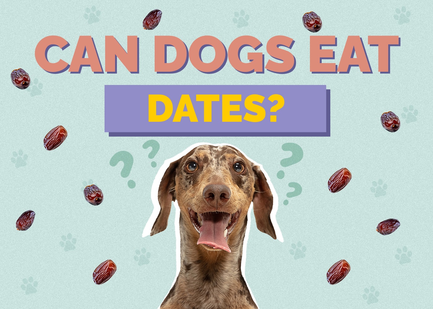 Can Dogs Eat Dates? Vet-Reviewed Facts & Precautions