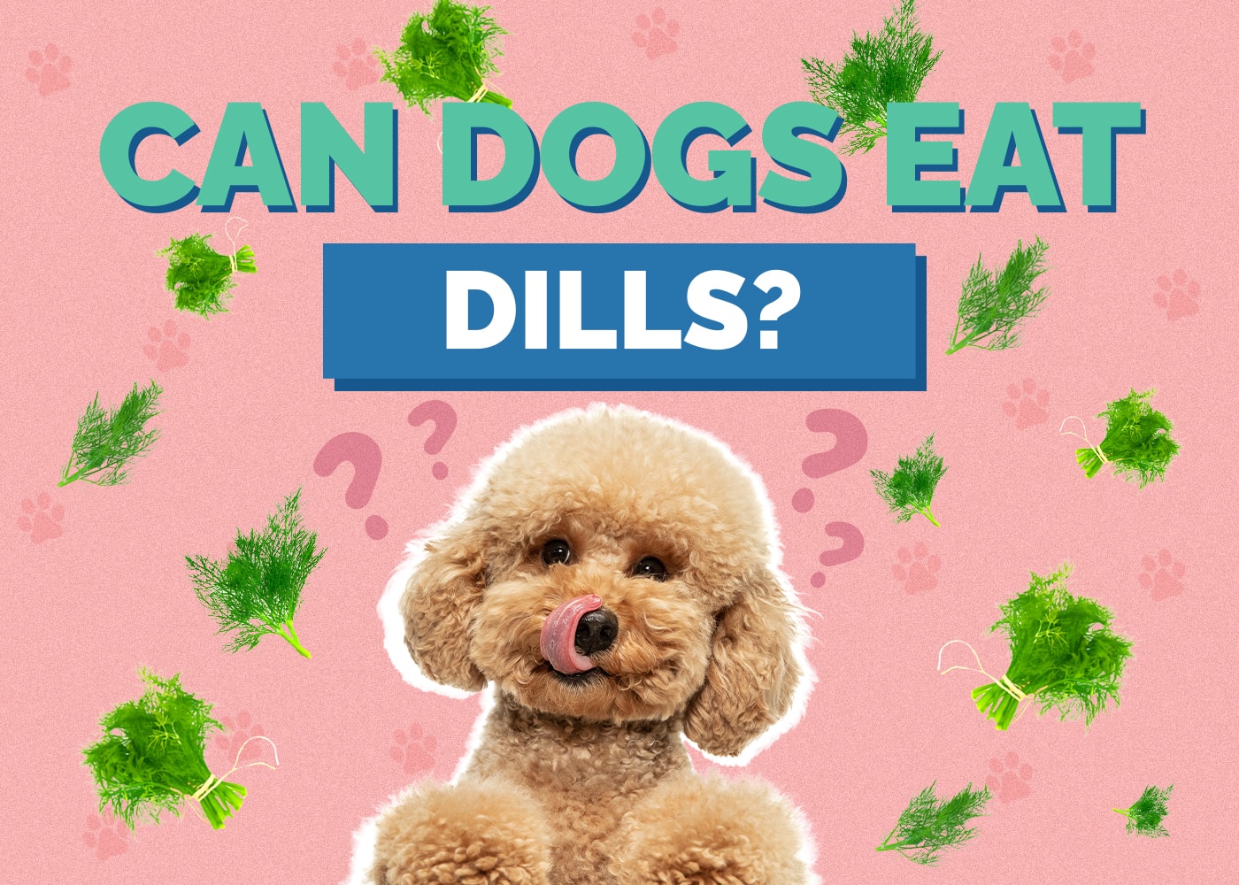 Can Dogs Eat Dill? Vet-Approved Facts & Safety Guide