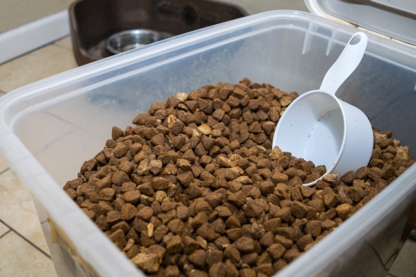 How to Measure Dog Food Portions Accurately: Vet-Approved Dog Feeding Chart & Tips