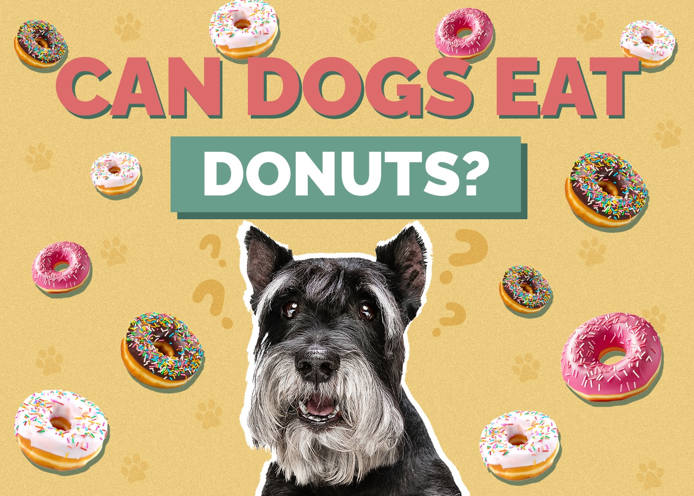 Can Dogs Eat Donuts? Health & Nutrition Facts