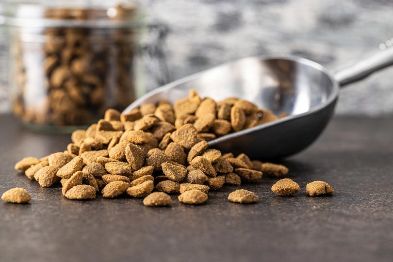 What Is Chicken By-Product in Dog Food? Is It Alright for My Dog?