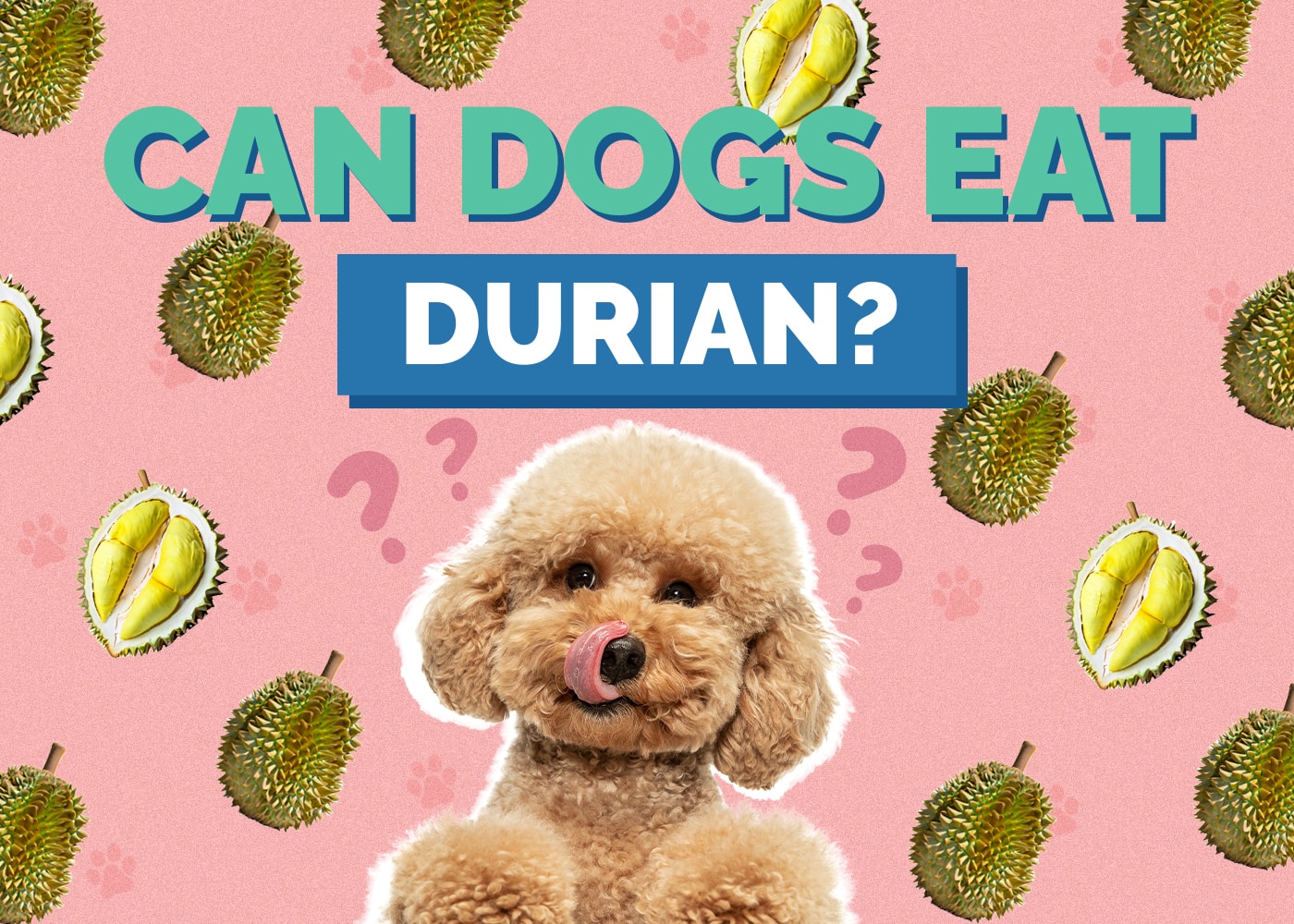 Can Dogs Eat Durian? Vet-Approved Benefits & Risks