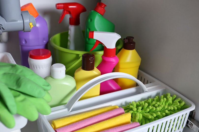 Cleaning Products That Are Safe for Cats: 7 Vet-Approved Household Items