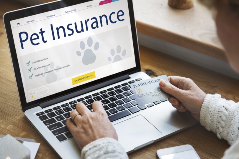 How Much is Pet Insurance in Minnesota (2026 Cost Update)