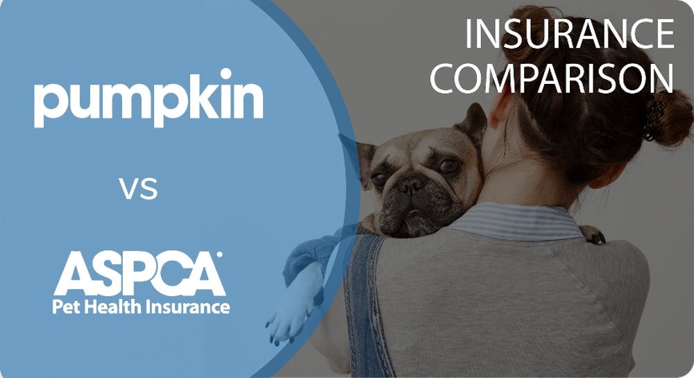 Pumpkin vs. ASPCA Pet Insurance Comparison 2026: Which is Best?