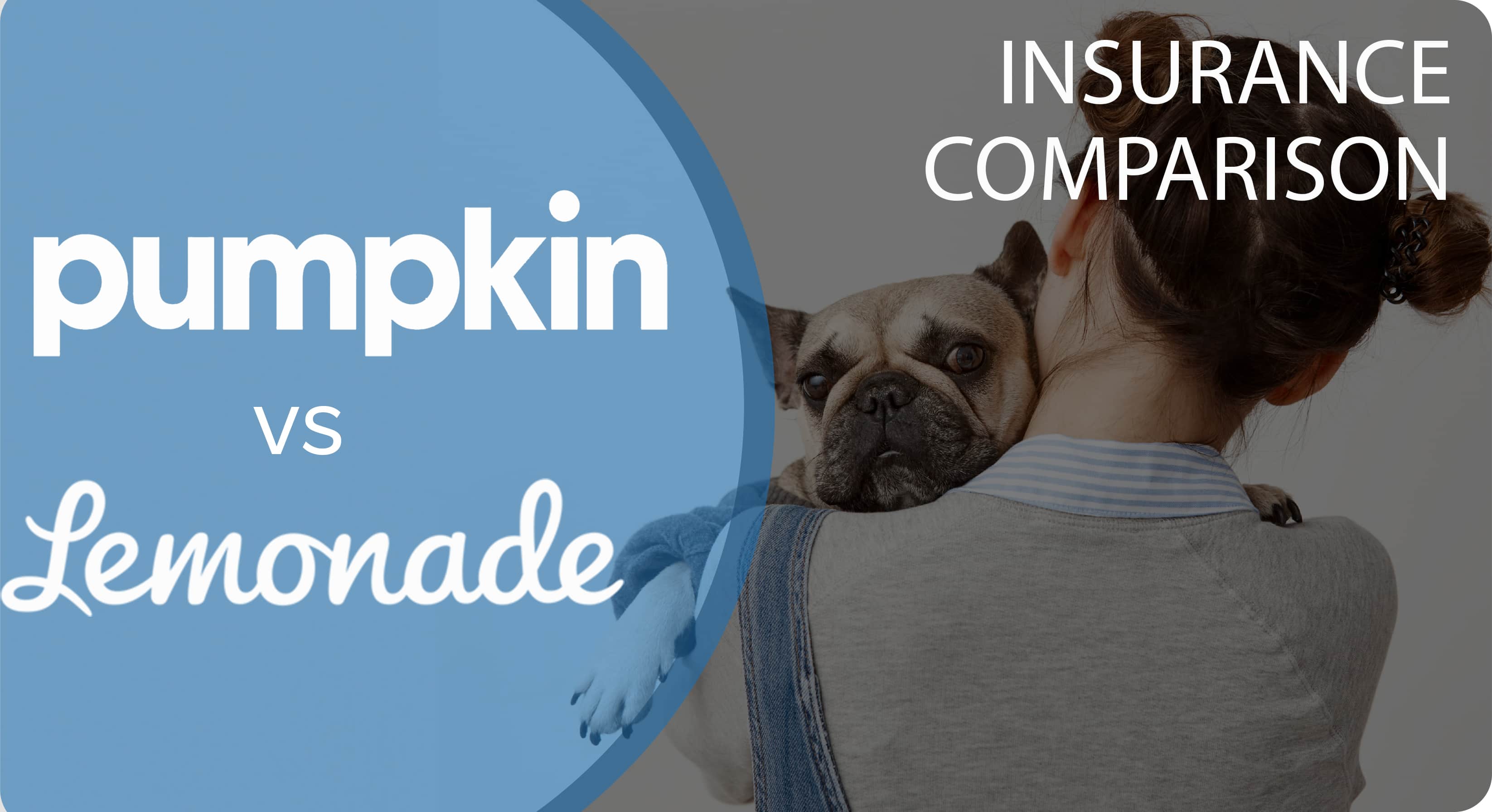 Pumpkin vs. Lemonade Pet Insurance Comparison 2026: Which is Best?