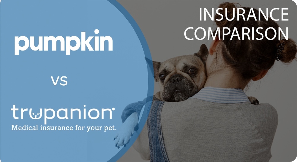 Pumpkin vs. Trupanion Pet Insurance Comparison 2026: Which One’s Best?