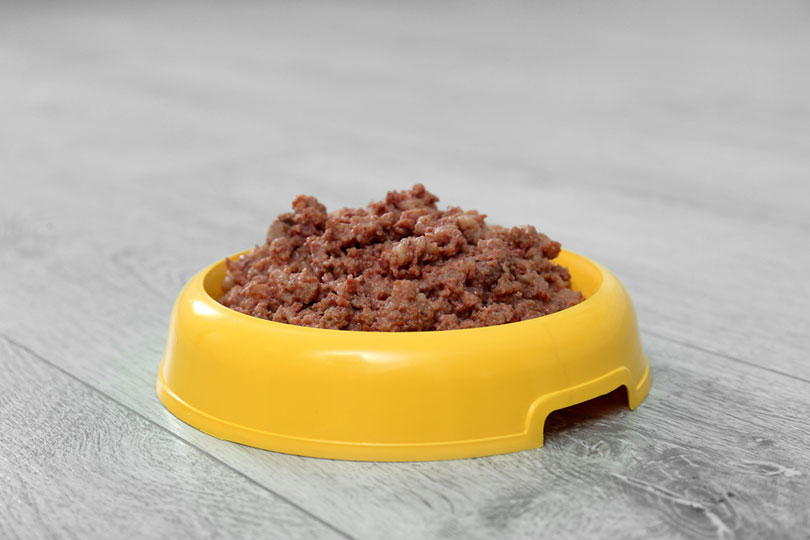 How to Tell If Wet Dog Food Is Bad: 7 Vet-Verified Signs