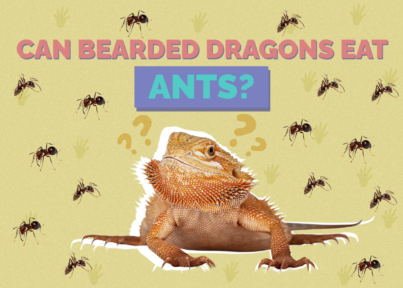 Can Bearded Dragons Eat Ants? Vet Approved Nutrition Advice
