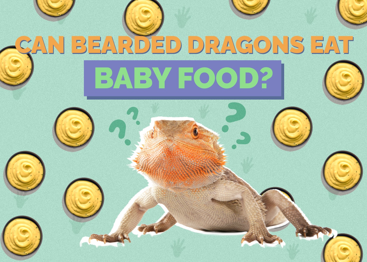 Can Bearded Dragons Eat Baby Food? Vet-Reviewed Feeding Facts