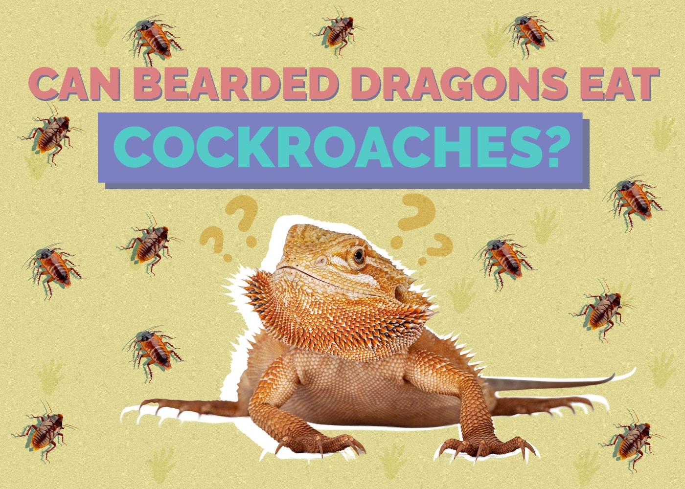 Can Bearded Dragons Eat Cockroaches? Vet Approved Facts & Safety Guide