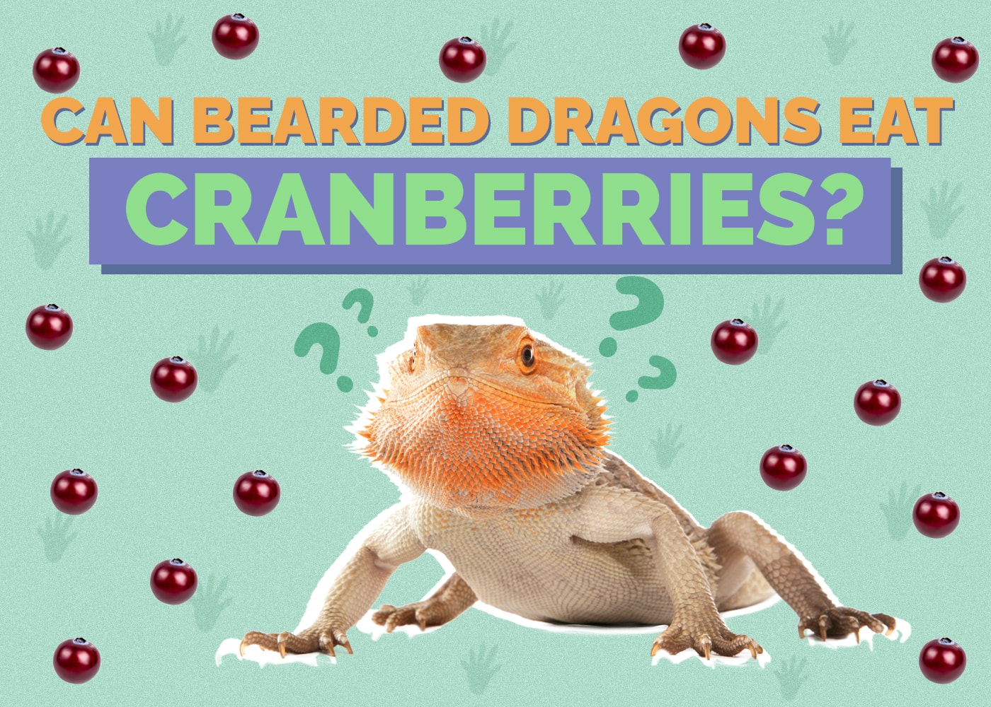 Can Bearded Dragons Eat Cranberries? Vet Approved Nutrition Advice