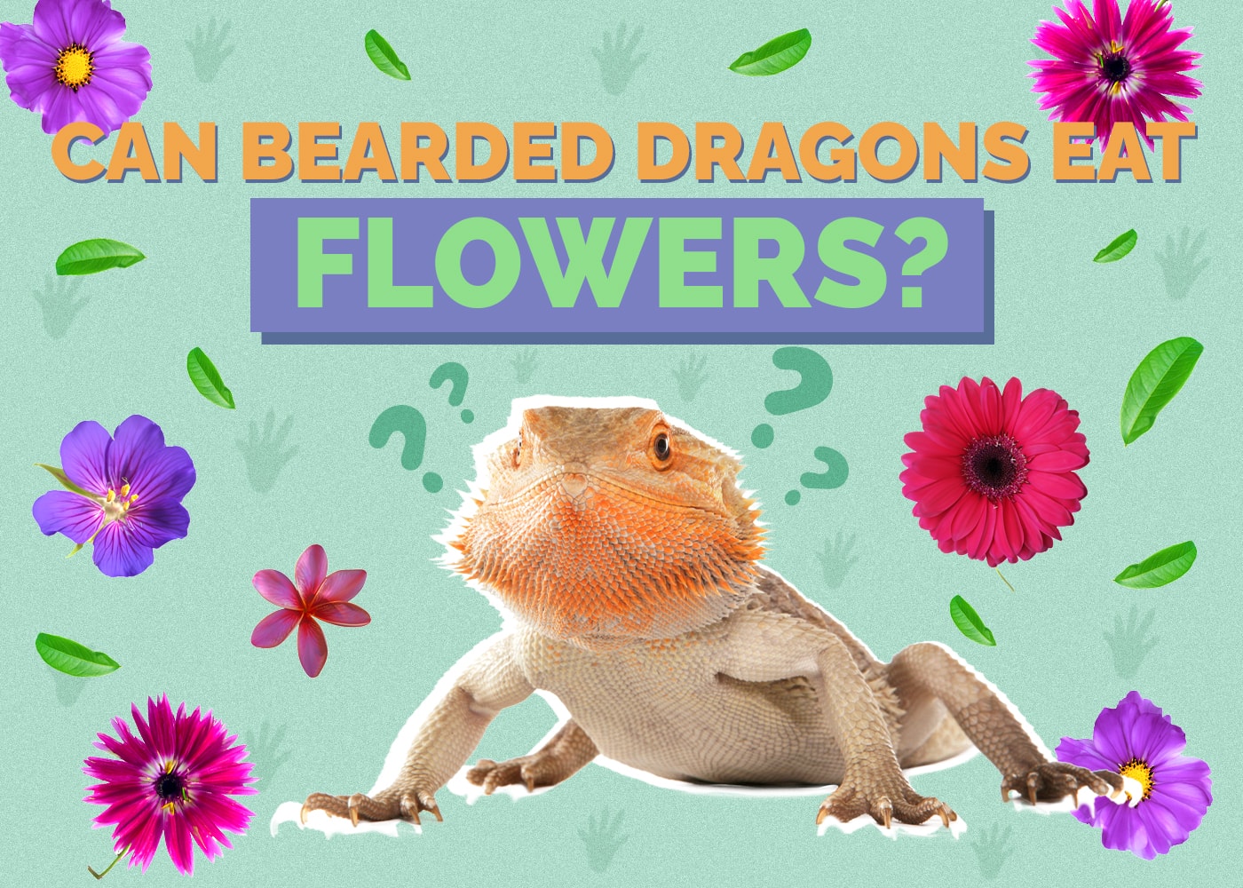 Can Bearded Dragons Eat Flowers? Vet Approved Nutrition Advice