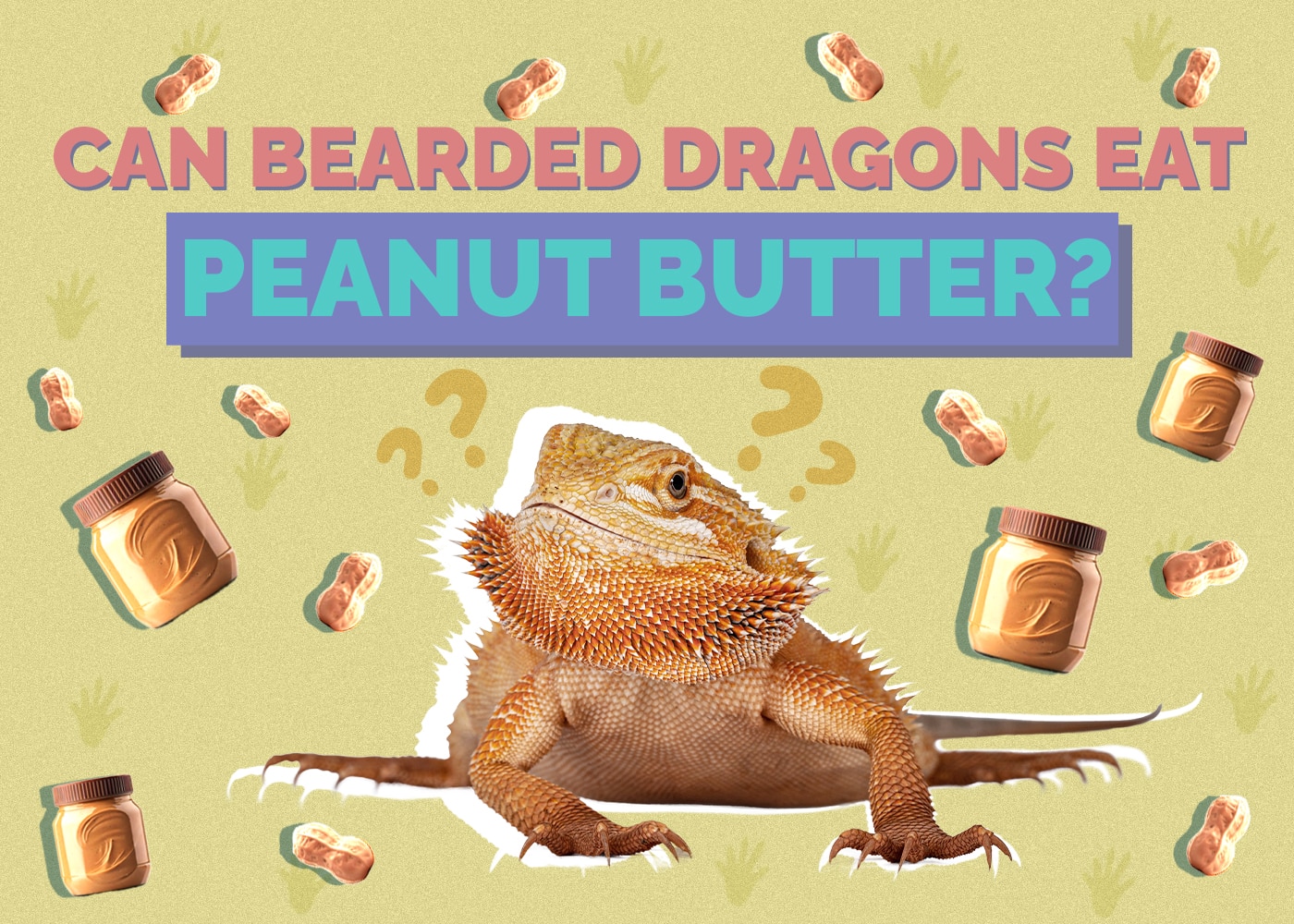 Can Bearded Dragons Eat Peanut Butter? Vet Approved Facts & Safety Guide