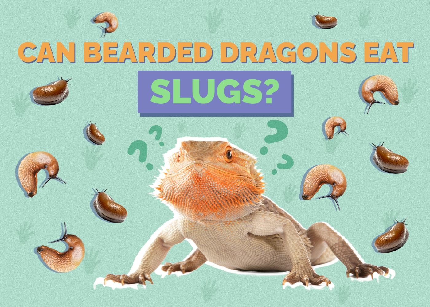Can Bearded Dragons Eat Slugs? Vet Approved Facts & Safety Guide