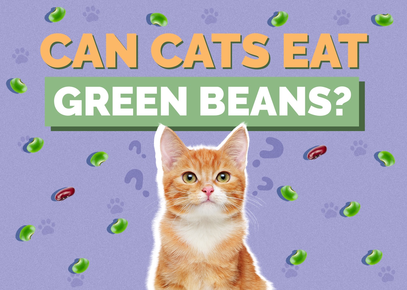 Can Cats Eat Green Beans? Vet Approved Facts & FAQ