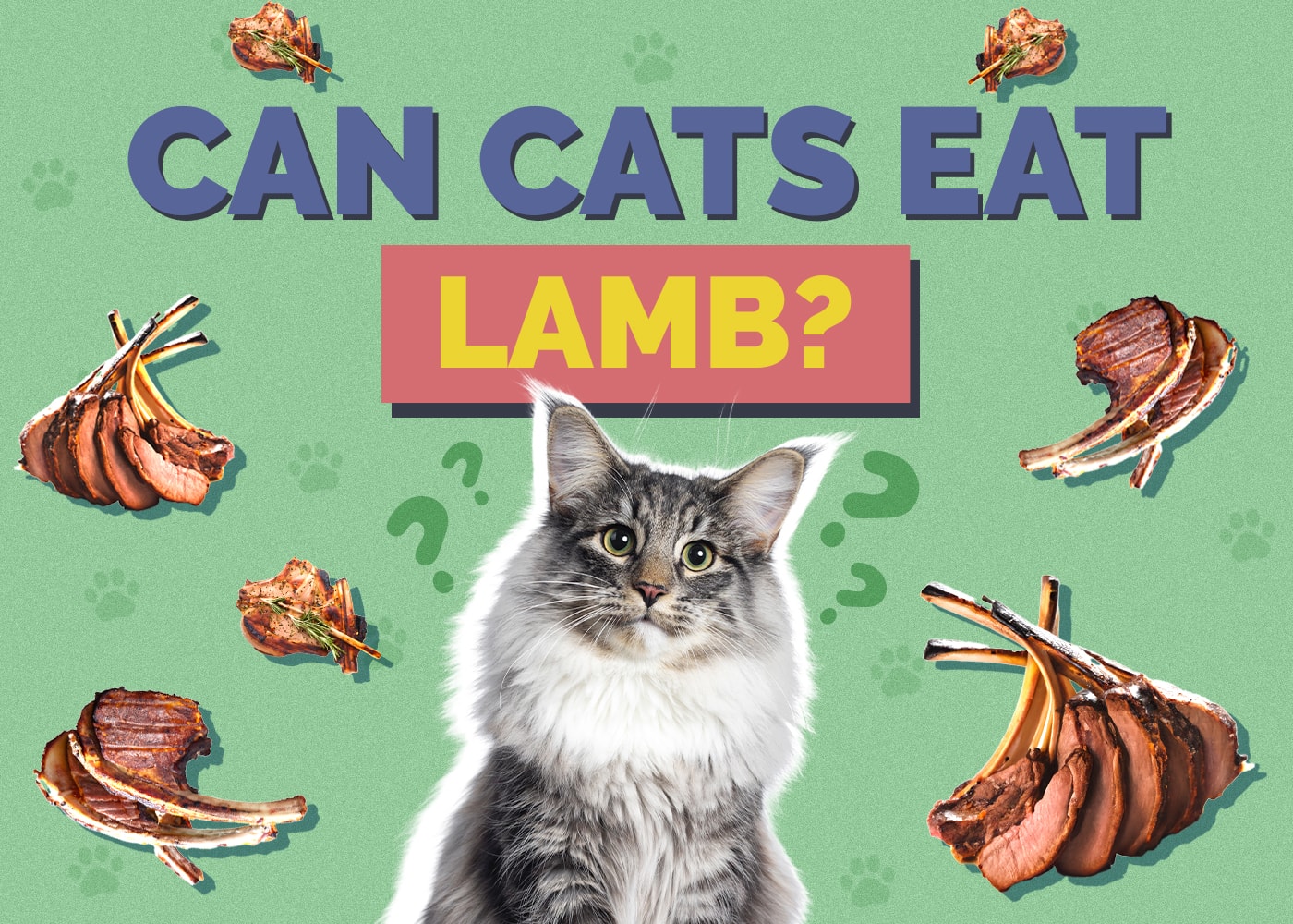 Can Cats Eat Lamb? Vet-Reviewed Facts & FAQ
