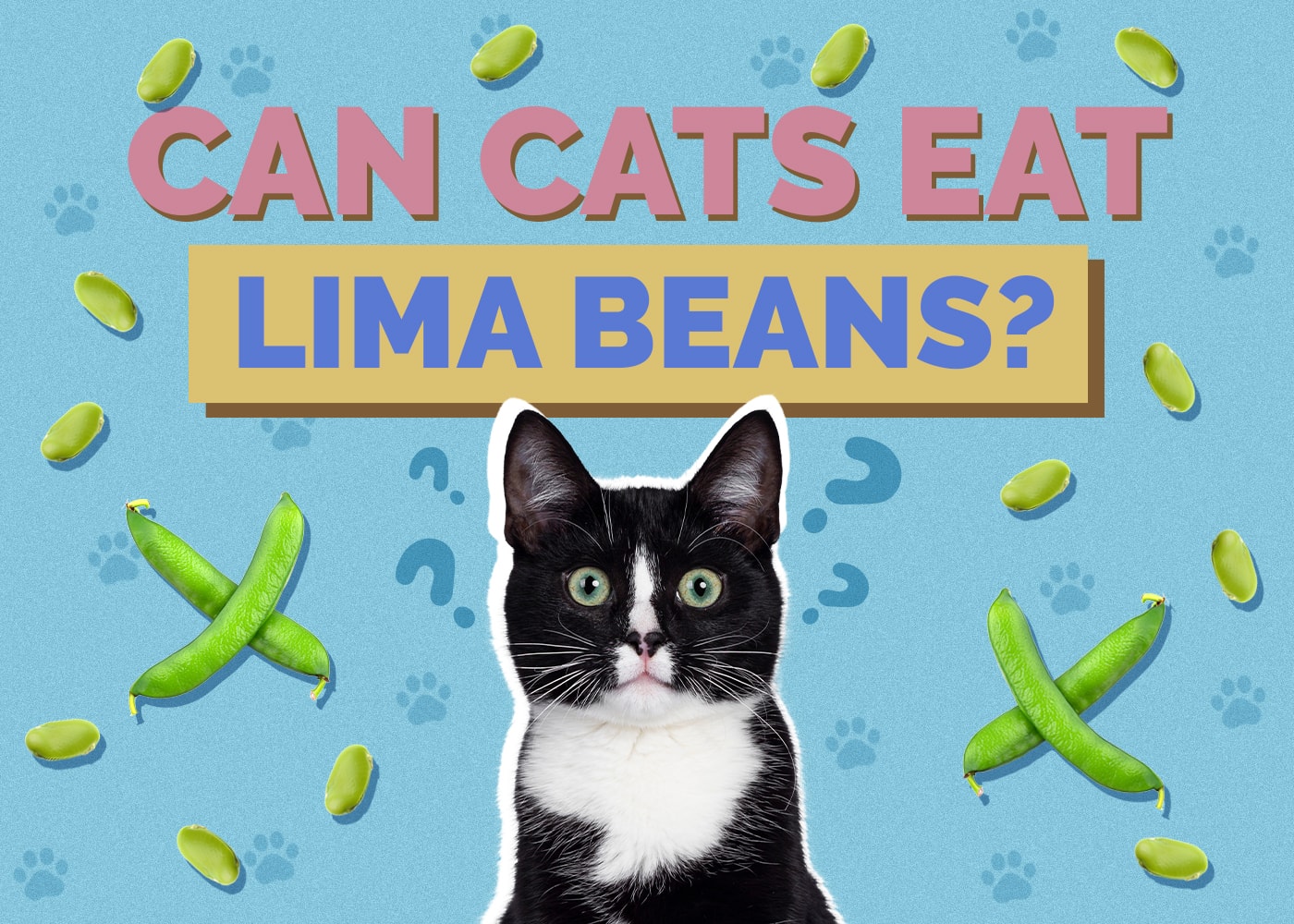 Can Cats Eat Lima Beans? Vet-Approved Facts & FAQ