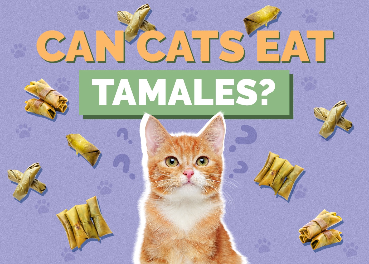 Can Cats Eat Tamales? Vet-Approved Types, Reasons, & FAQ