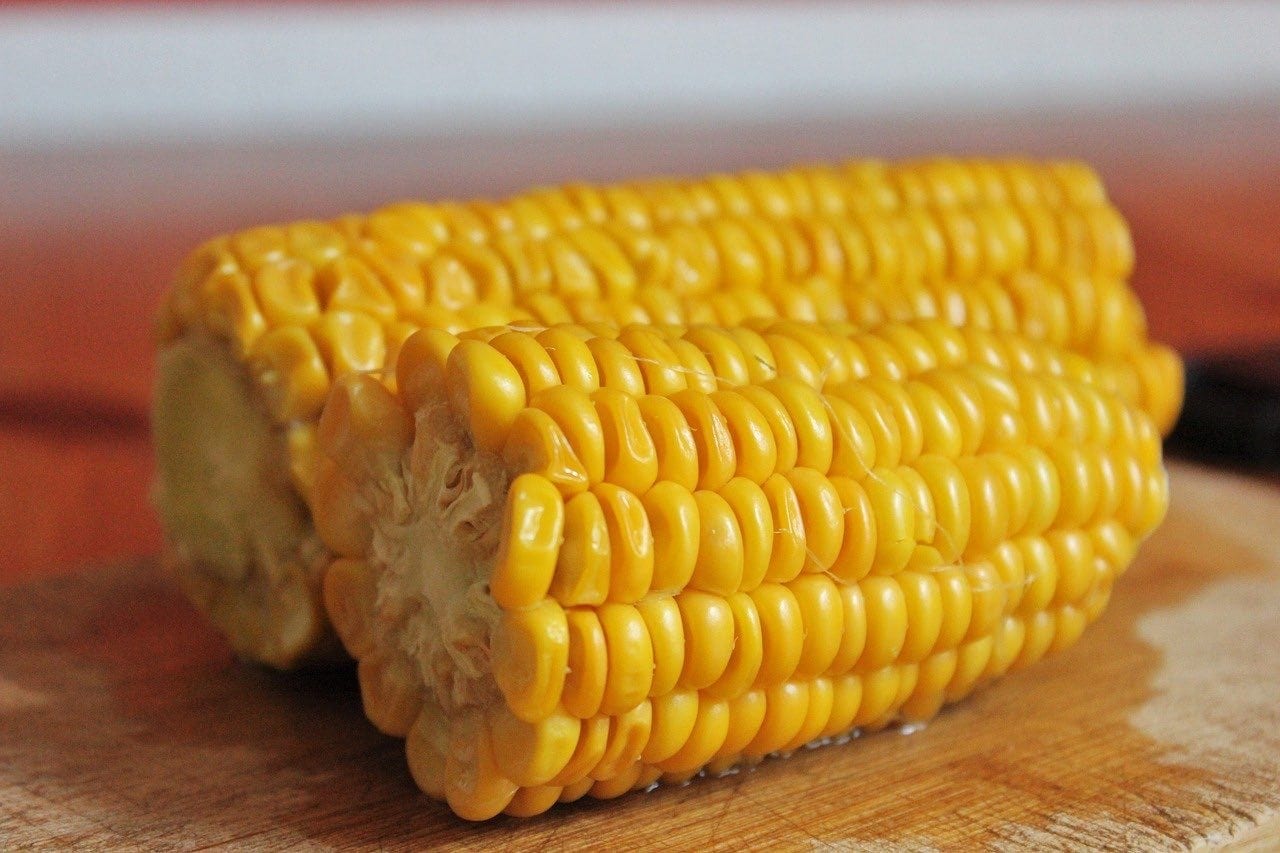 Corn on the cob