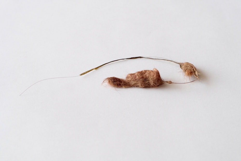 Cat Hairballs: Vet-Approved Causes, Prevention & Remedies