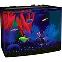 GloFish Aquarium Kit Fish Tank
