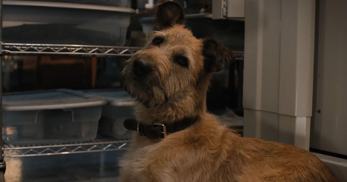 Still from Finch (2021). All rights reserved to the copyright owners.