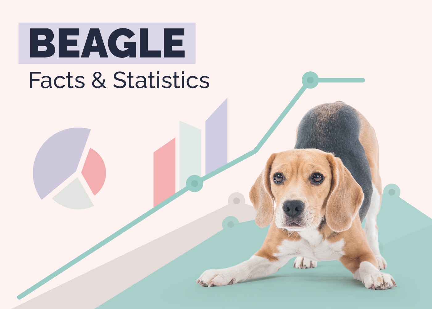10 Surprising Beagle Statistics You'll Be Surprised to Learn: 2026 Update