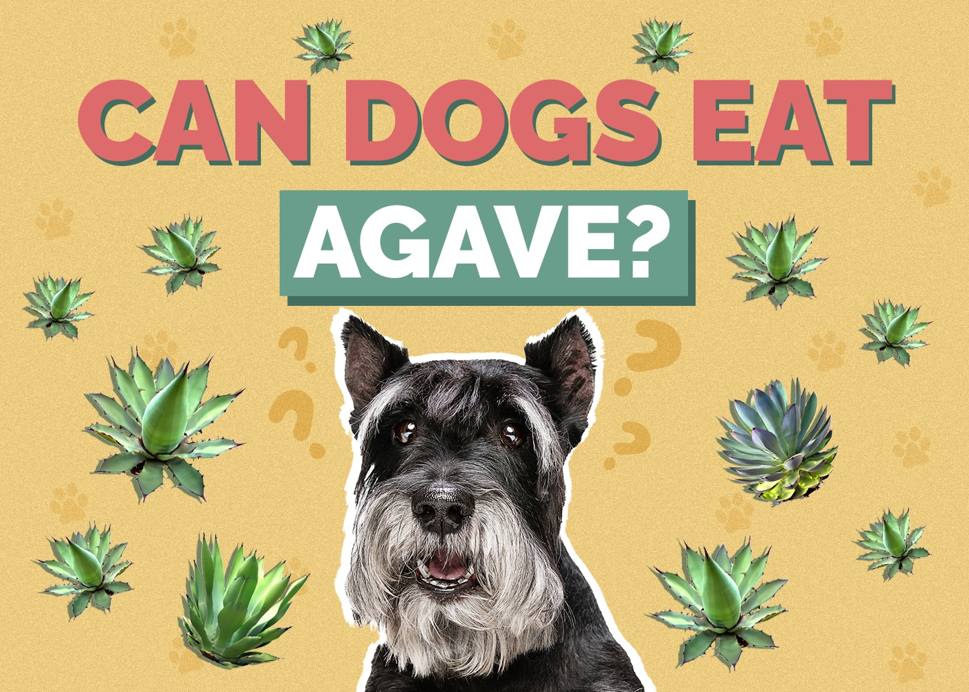 Can Dogs Eat Agave? Vet-Verified Health Concerns