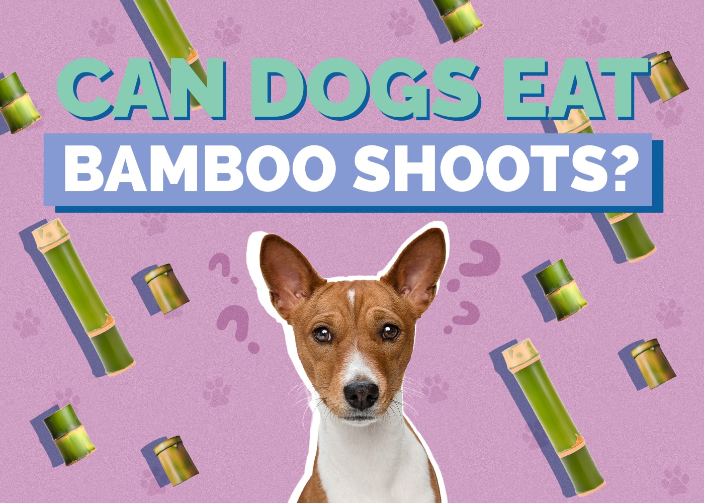 Can Dogs Eat Bamboo Shoots? Keep Your Dog Healthy!
