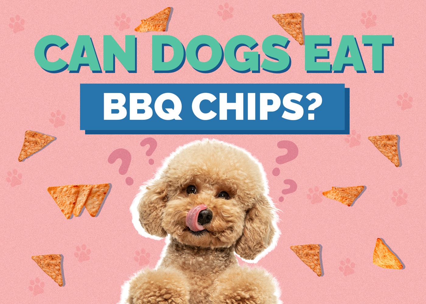 Can Dogs Eat BBQ Chips? The Interesting Answer!