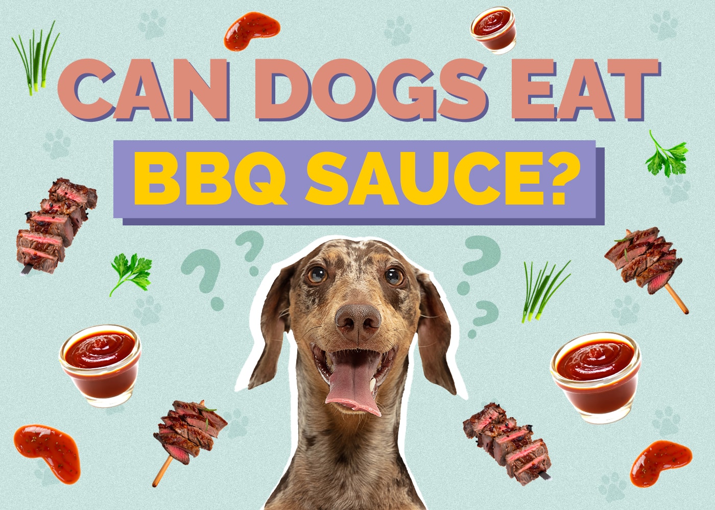 Can Dogs Eat BBQ Sauce? Vet-Reviewed Risks & Tips