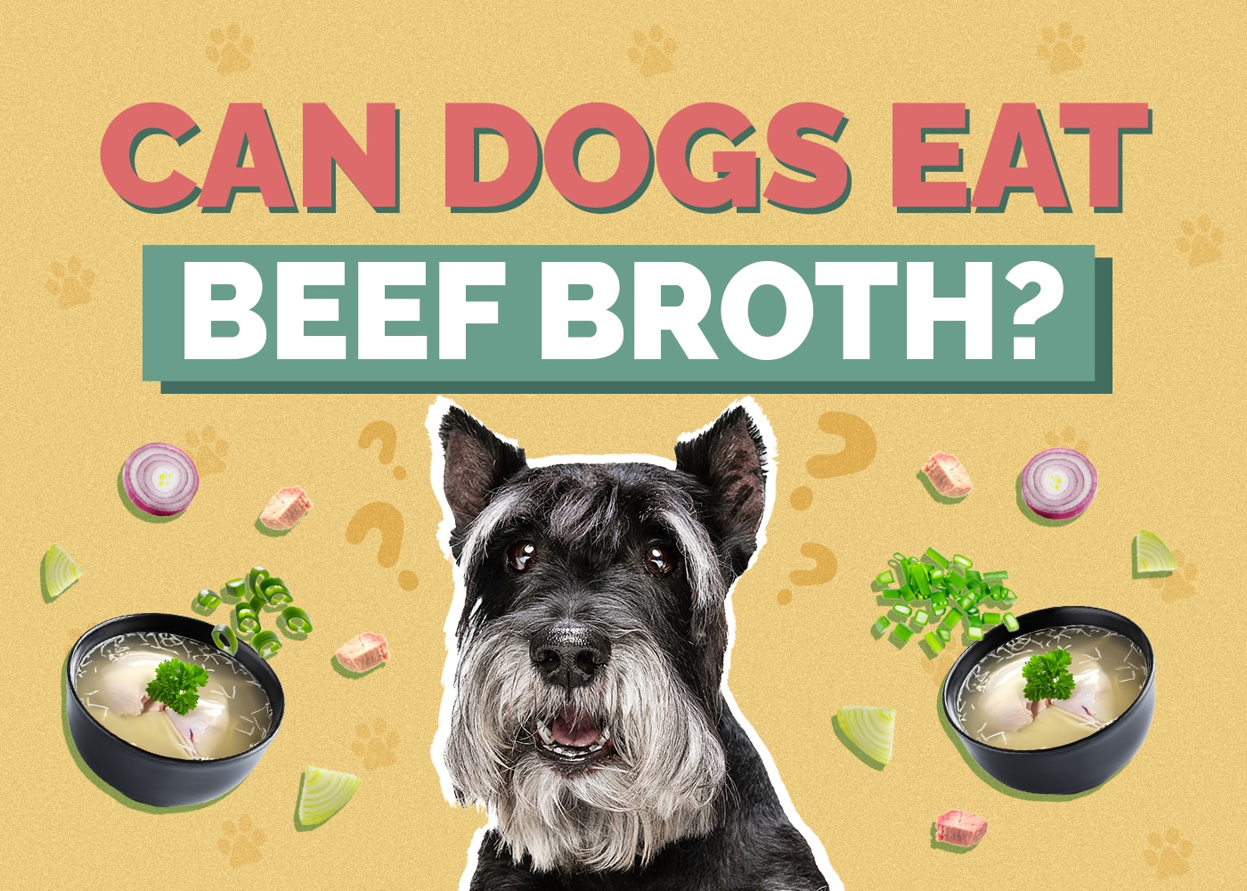 Can Dogs Eat Beef Broth? Vet Reviewed Facts & FAQ