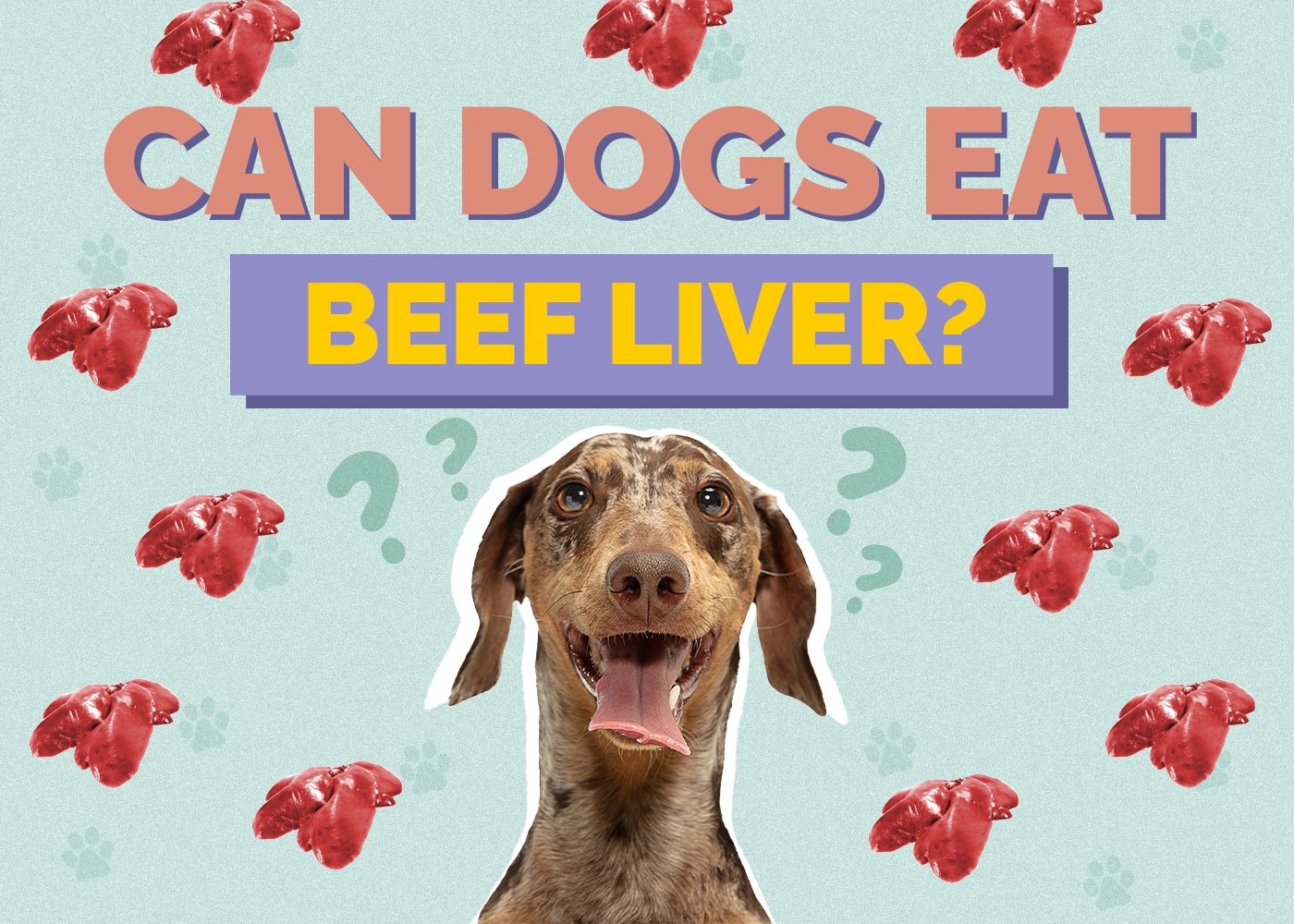 Can Dogs Eat Beef Liver? What The Science Says