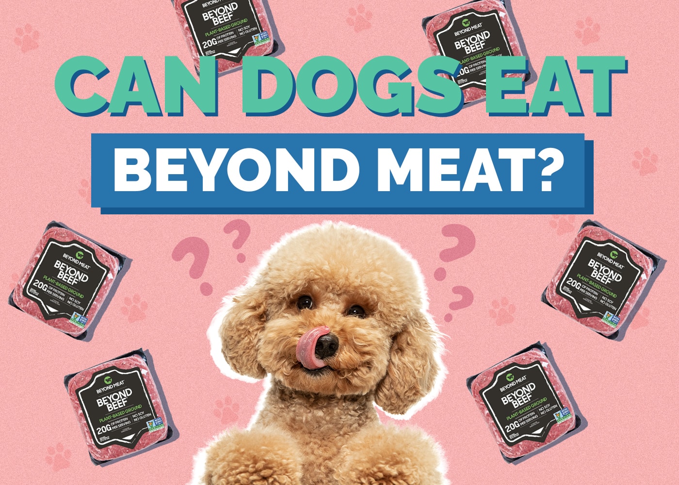 Can Dogs Eat Beyond Meat or Other Plant-Based Meat? Vet Reviewed Facts